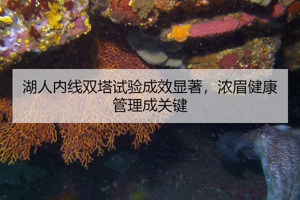 湖人内线双塔试验成效显著，浓眉健康管理成关键