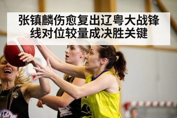 张镇麟伤愈复出辽粤大战锋线对位较量成决胜关键